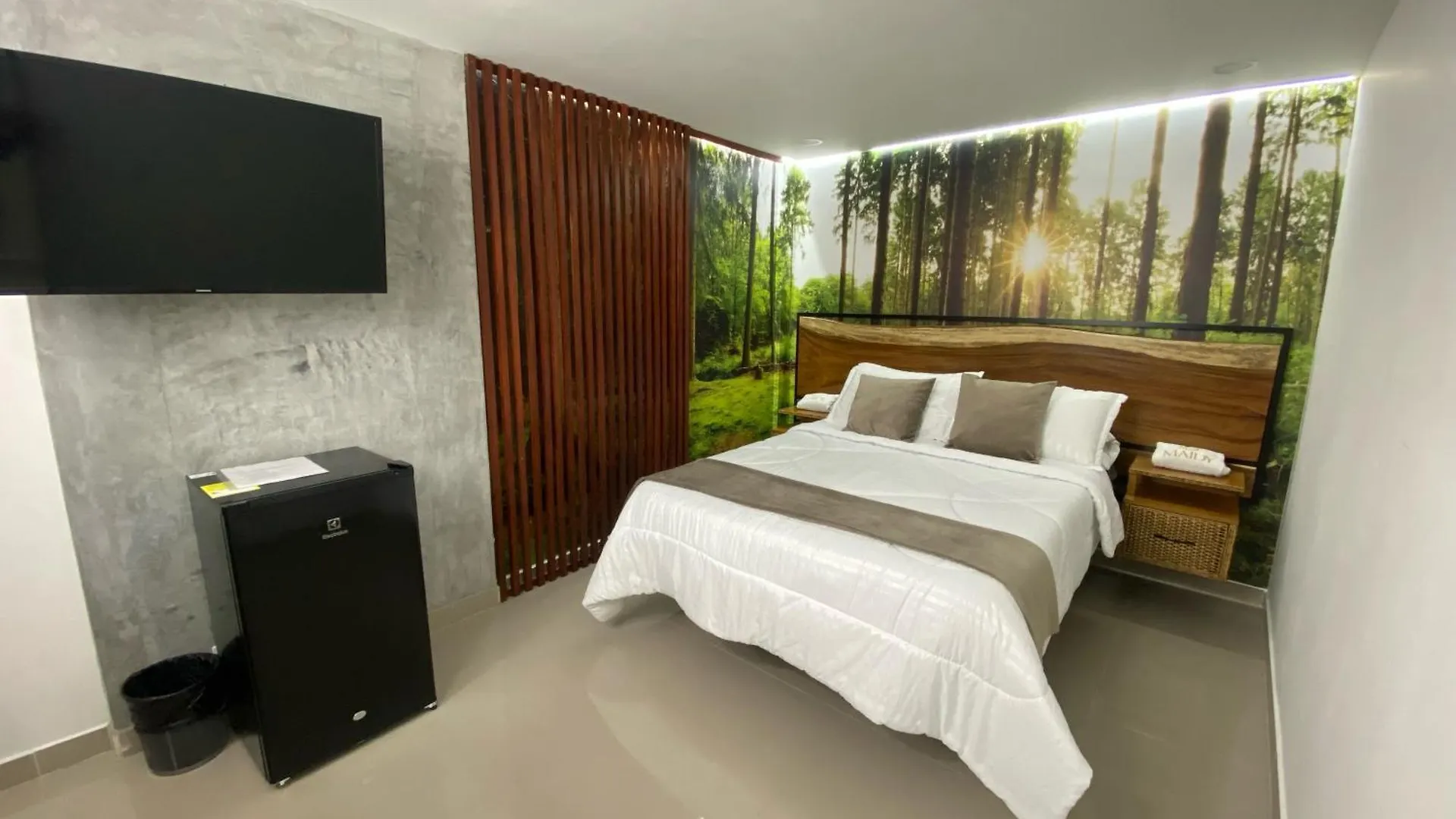 Maidy Luxury Hotel Medellin Colombia
