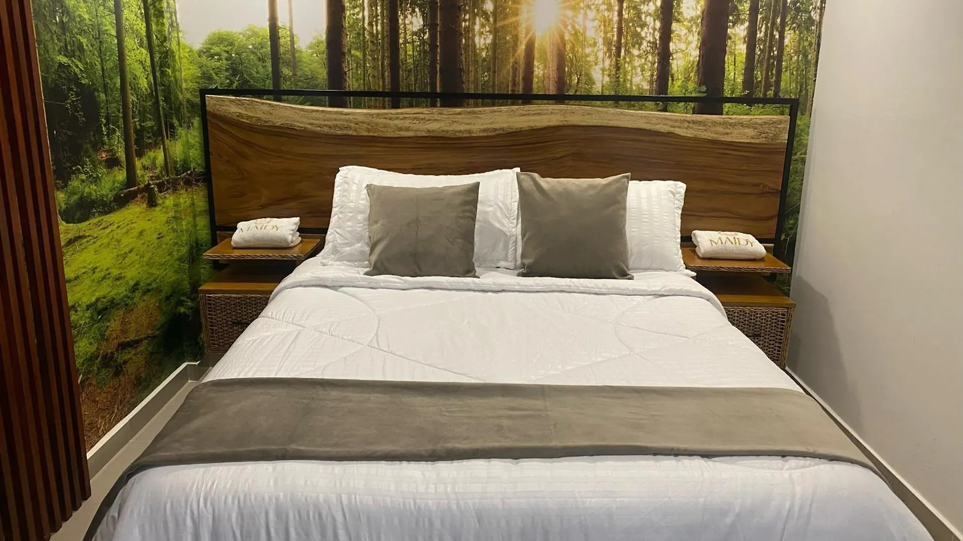 Maidy Luxury Hotel Medellin Colombia